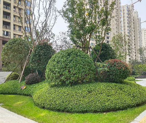 广东园林绿化设计